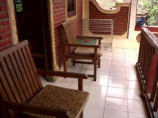 Hotel Citrus Tree - Darta